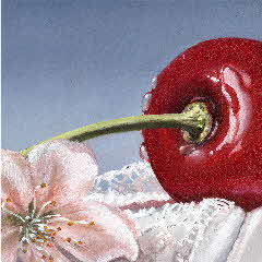 Go to Botanical & Fruit