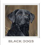 demo lesson - black dogs demo lesson - black dogs