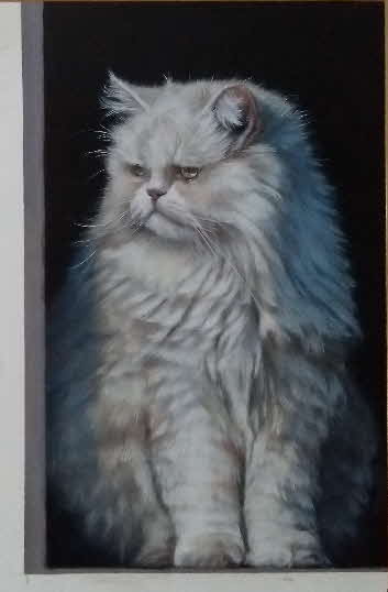 cat3
