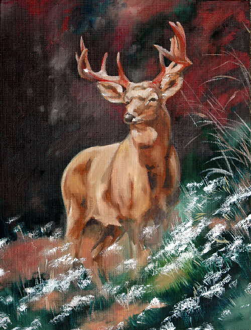 eidelhert red deer by tonkinson-art eidelhert red deer by tonkinson-art