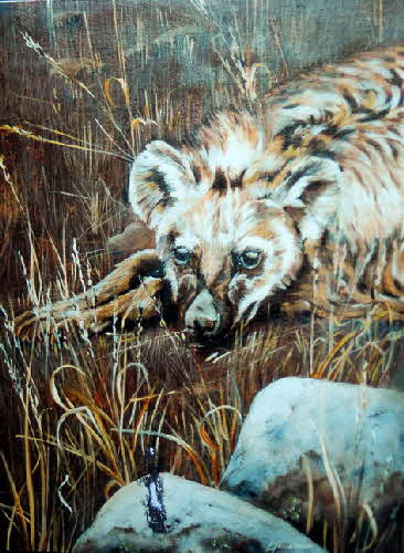 hyena at dawn by tonkinson-art web
