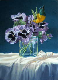 pansies and sunbird- pansies and sunbird-