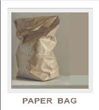 demo lesson - paper bag