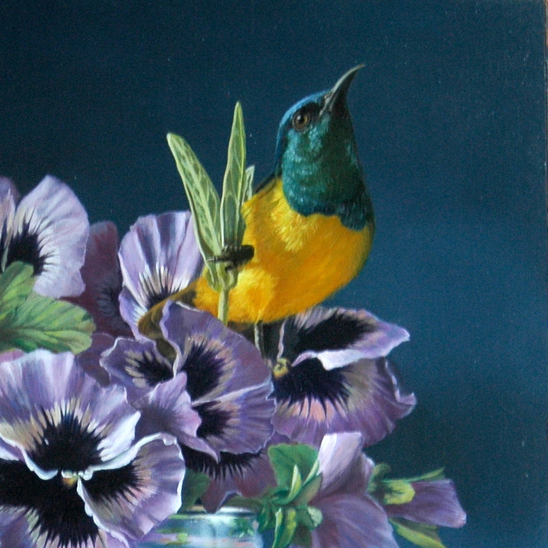 pansies and sunbird-002 pansies and sunbird-002