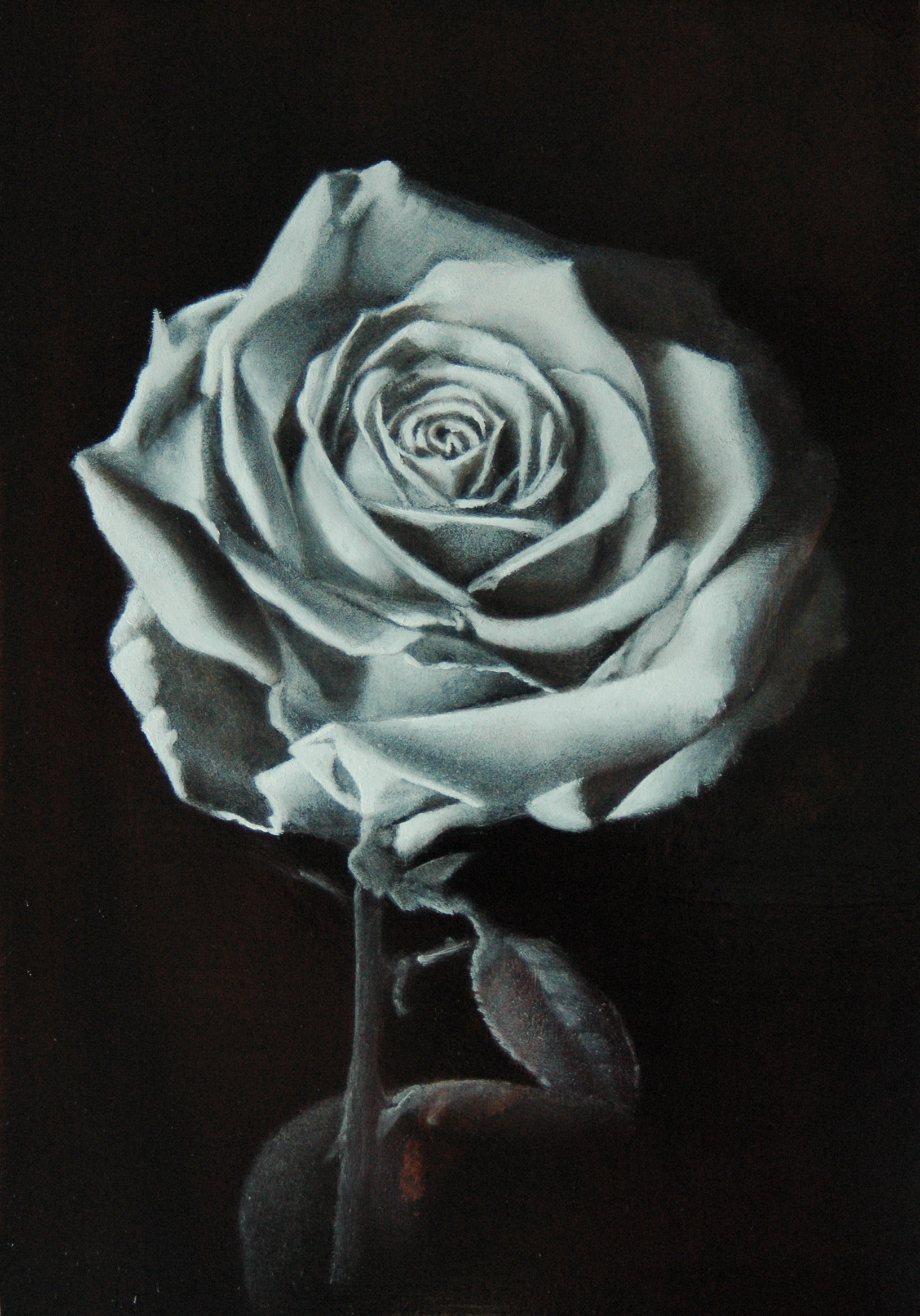 w&b rose2 w&b rose2